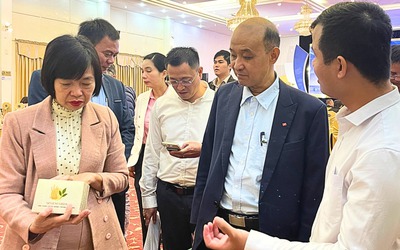 Startup Đà Nẵng đông, nhưng mạnh thì chưa nhiều