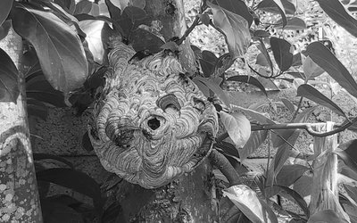 Cụ ông 74 tuổi hét thất thanh, hàng xóm chạy sang thấy cảnh tượng "đáng sợ"