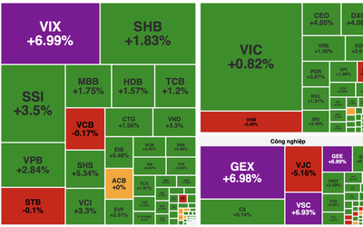 VN-Index bật tăng 20 điểm, thị trường phủ kín sắc xanh