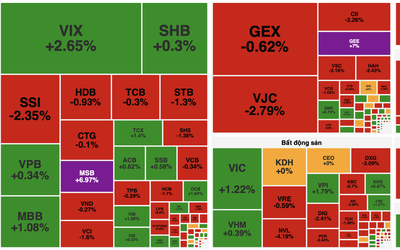 Dòng tiền phân hóa, cổ phiếu lớn nâng đỡ VN-Index
