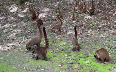 Khoảnh khắc rùng mình giữa khu di tích cổ