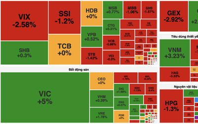 VN-Index tăng nhẹ, VIC và VPL kéo chỉ số