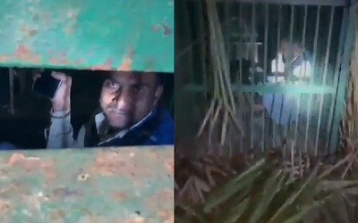 Đi trộm dê, người đàn ông say rượu nhận ngay kết đắng