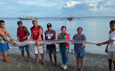 Đang đi dạo biển, người dân bỗng phát hiện cảnh tượng "nổi da gà" giữa ban ngày