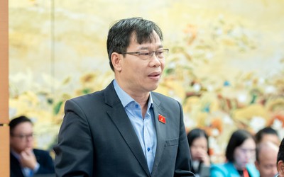 ĐBQH băn khoăn về tiêu chuẩn giám đốc doanh nghiệp bảo hiểm