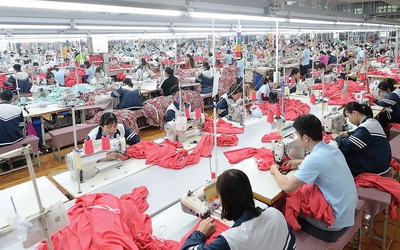 May Sông Hồng báo lãi kỷ lục quý III/2025