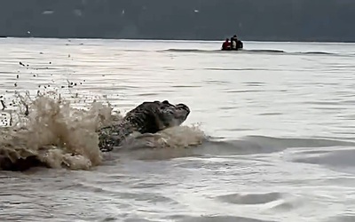 Du khách kinh hãi khi thấy thứ đáng sợ nổi lên từ dưới nước