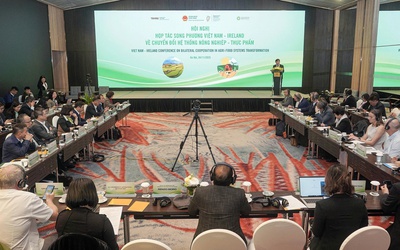 Việt Nam - Ireland tăng cường hợp tác chuyển đổi hệ thống nông nghiệp và thực phẩm