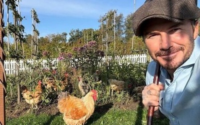 David Beckham "bỏ phố về quê", trồng rau nuôi gà, tận hưởng cuộc sống bình dị giữa điền trang triệu đô