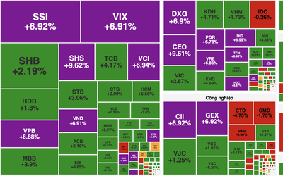 Chứng khoán thăng hoa, sắc xanh tím phủ rộng toàn thị trường