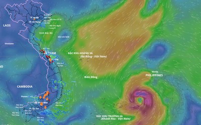 Bão Kalmaegi "mạnh lên từng ngày", điểm danh các tỉnh chịu ảnh hưởng trực tiếp