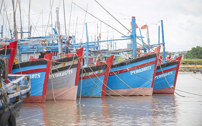 Đắk Lắk cấm biển, ngư dân hối hả tìm nơi tránh trú, neo đậu tàu, thuyền