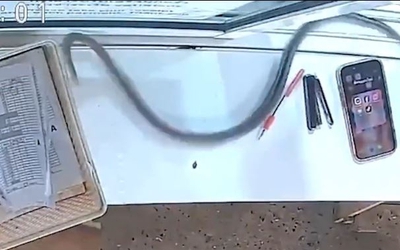 Thấy thứ đáng sợ lao về phía mình, cô gái la hét bỏ chạy