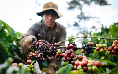 58 tỷ USD nông lâm thủy sản được xuất khẩu trong 10 tháng