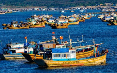 Xử lý dứt điểm tình trạng tàu cá “3 không”