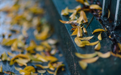 Trai phố cổ - Những hào hoa thắp sáng thành Hà Nội