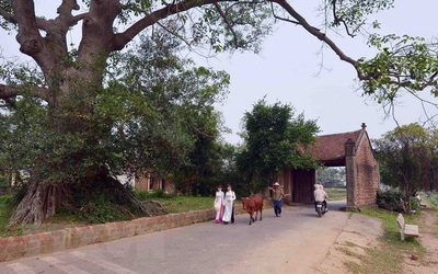 Làng Việt - Nơi lịch sử thở bằng đất