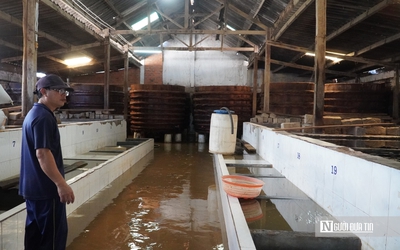 Mưa lũ làm "gián đoạn" chuỗi sản xuất, làng nghề nước mắm Lâm Đồng gấp rút phục hồi