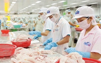 "Vua cá tra" khép lại hành trình trên sàn chứng khoán