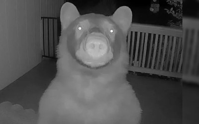 Nửa đêm thức giấc, người đàn ông bỗng phát hiện thứ "đáng sợ" ngoài cửa