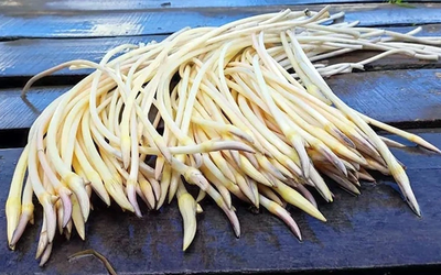 2 loại rau dễ là nơi “ổ ký sinh trùng” ẩn náu, nhất loại đầu bảng ngoài chợ có đầy