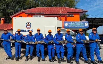 Phát hiện trăn khổng lồ phía sau nhà, cả làng sững sờ