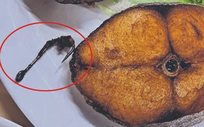 Đang ăn cá chiên, người phụ nữ phát hiện ra thứ đáng sợ