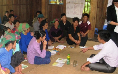 Người phụ nữ "thoát ngồi tù" vì phát cây rừng gây bóng ruộng lúa