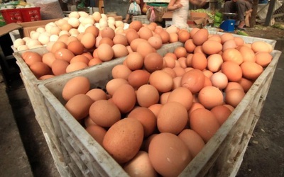 Hơn 10 người nhập viện nghi do ngộ độc trứng nhiễm khuẩn