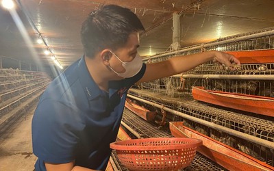 Từ hai bàn tay trắng, chàng trai trẻ trở thành triệu phú nhờ nuôi con "mắn đẻ"