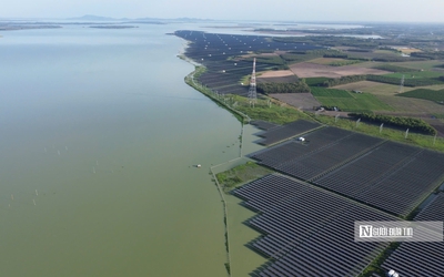 Hơn 1,3 triệu tấm pin tạo nên “rừng điện mặt trời” giữa hồ Dầu Tiếng