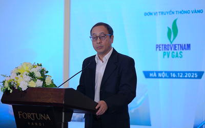 136 tỷ USD cho điện đến 2030: Việt Nam tìm vốn ở đâu?