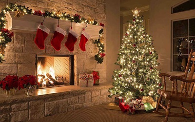 Câu chuyện "rùng mình" khi mang cây thông Noel thật vào nhà mùa Giáng sinh