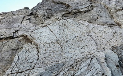 Kinh ngạc với những dấu chân trên vách đá dựng đứng