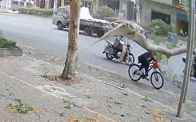 Bị cành cây rơi trúng, người đàn ông ngã xuống đất bất tỉnh