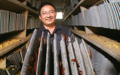 Nghề "hot" kiếm cả tỷ đồng mỗi năm nhưng ít ai dám làm