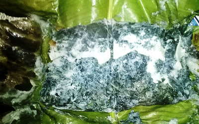 Loại rau ít "ngậm" thuốc trừ sâu nhất chợ, đầu bảng ở quê mọc um tùm bờ rào