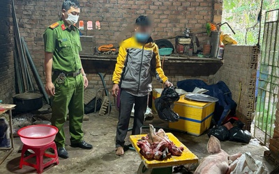 Phát hiện người đàn ông mua lợn chết về mổ lấy thịt đem bán ra thị trường