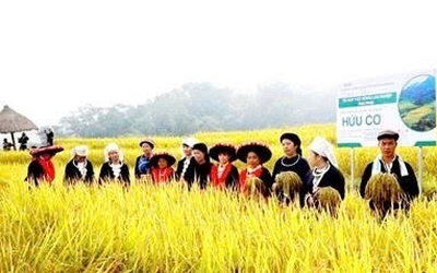 Nông nghiệp thông minh: Điểm sáng giảm nghèo ở Thái Nguyên