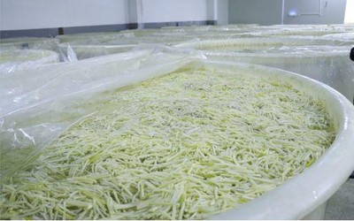 Nghề "độc lạ" ít ai hay: Kiếm 1,8 tỷ đồng/năm nhờ nghề ngửi đồ ăn