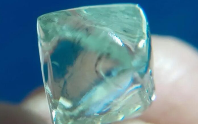 Rủ nhau đi đào đất, 2 người đàn ông “đổi đời” khi nhặt được báu vật trị giá 52 tỷ đồng