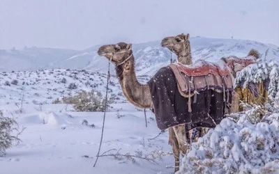 Thời tiết dị thường ở Trung Đông: Tuyết phủ sa mạc, Iran sơ tán 40.000 người