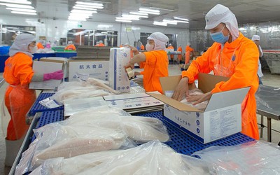 Phó Tổng Giám đốc Nam Việt muốn bán cổ phiếu