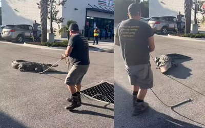 Đang đi đường, người dân phát hiện cảnh tượng "nổi da gà"