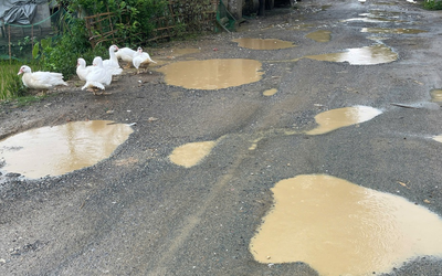 Sở Xây dựng Thanh Hóa phản hồi về con đường "ổ voi, ổ gà thành vũng nước thả vịt