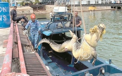 Người dân bắt được cá sấu khổng lồ dài 4 mét, nặng 500kg