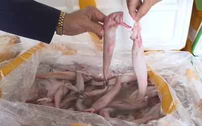 Phía sau 10 tấn cá bị tẩm chất độc