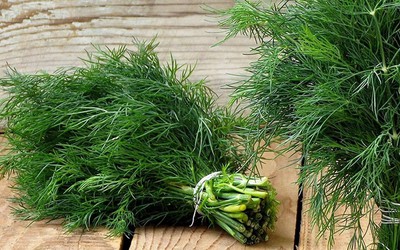 2 loại rau gia vị được ví như "vị thuốc xanh" cho cơ thể