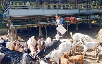 Chính sách tín dụng ưu đãi ở Thái Nguyên – Điểm tựa tài chính cho hành trình thoát nghèo bền vững