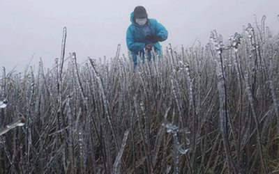 Đón không khí lạnh "lạ thường" dồn dập, có nơi dưới 6 độ C, dự báo ngày rét đậm nhất 2025
